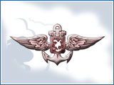 Крылья над волнами